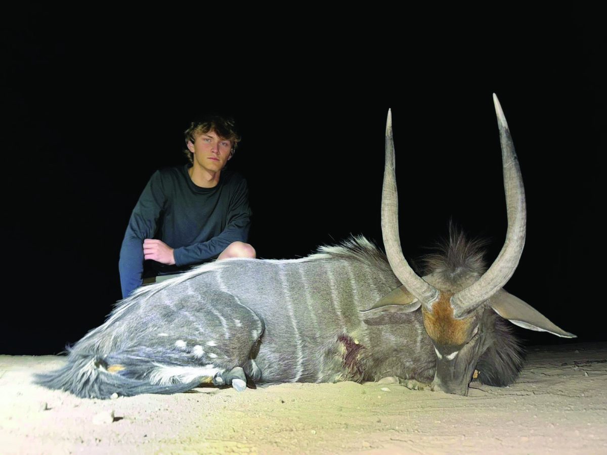 Nyala Hunting. Bismarck High School student Brecken Welle is proud of the animals he hunted in Africa. He hunted day and night to achieve his trophies. “Choosing to hunt for nyala was a last-minute thing, but we were lucky enough to get one in less than a day,” Welle said.